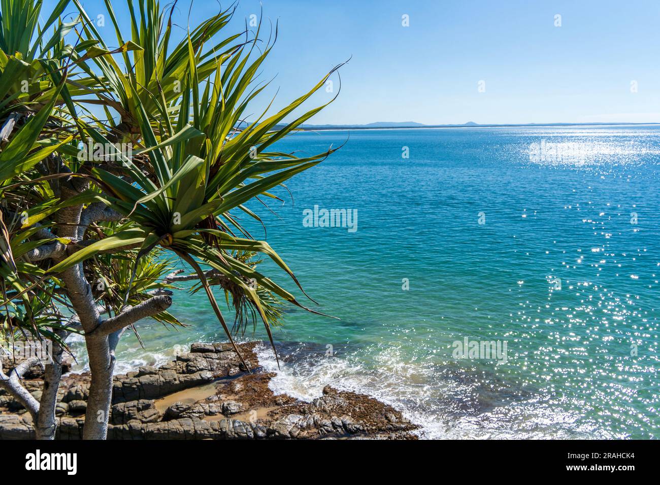 Palm trees on rocky coastline hi-res stock photography and images - Alamy