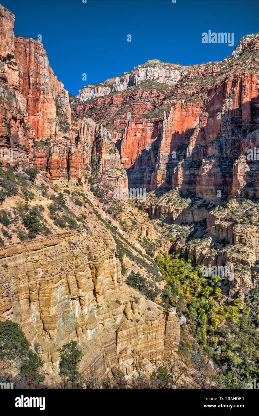 Roaring Springs Canyon, below North Rim, North Kaibab Trail, Grand
