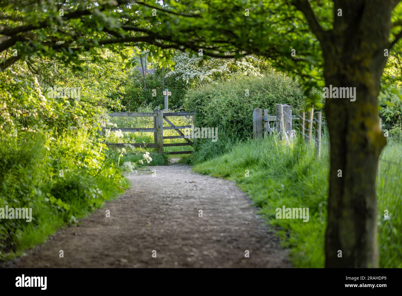 Bracknell, Berkshire, England, UK, Local Area Photography Stock Photo