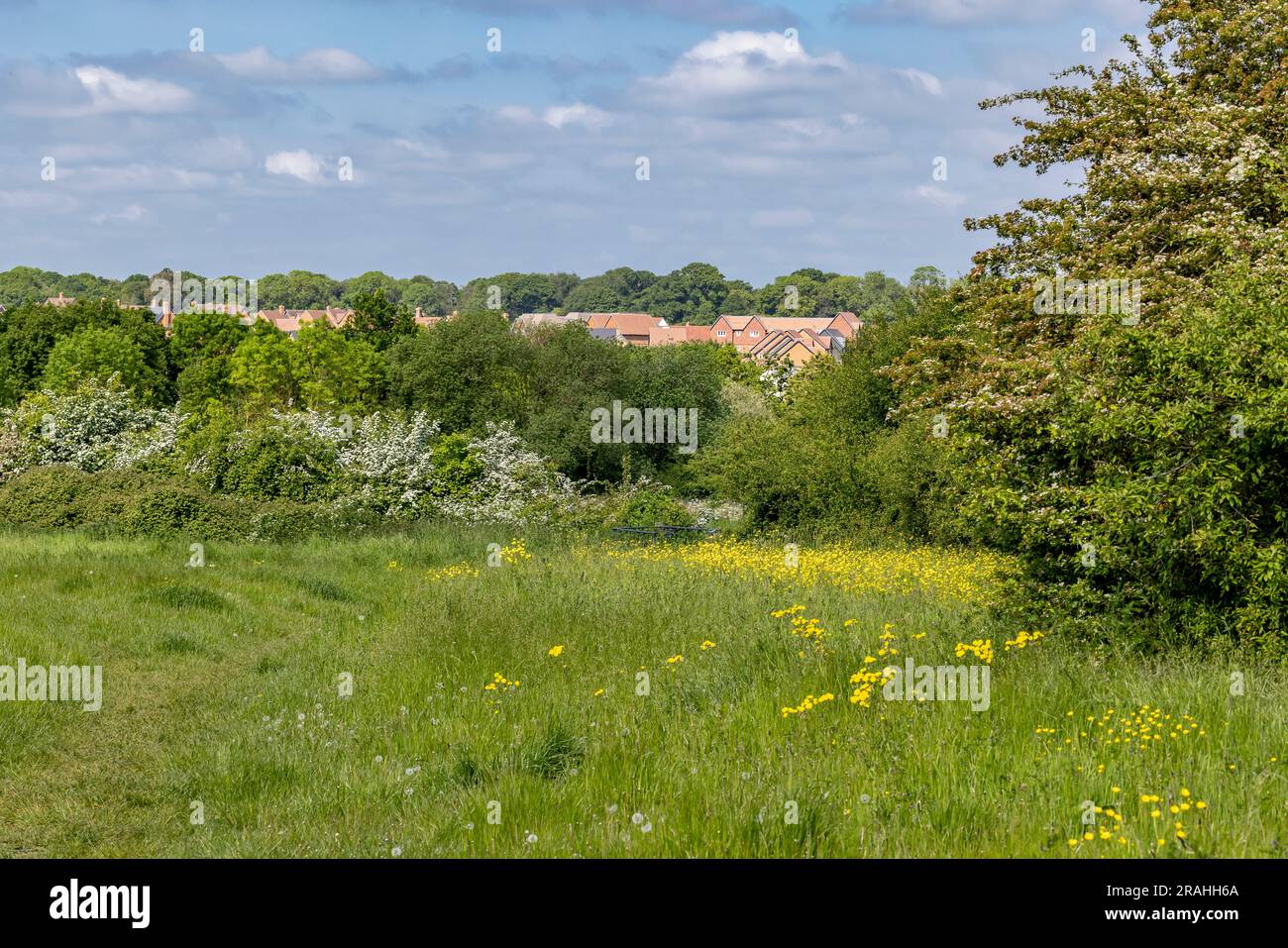 Bracknell, Berkshire, England, UK, Local Area Photography Stock Photo
