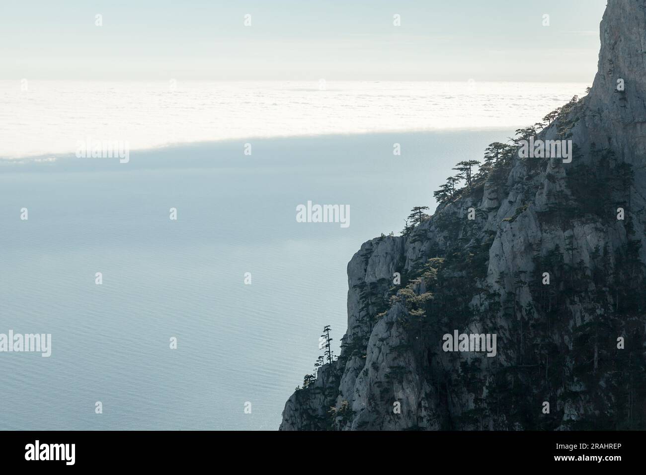 Mountain landscape with pine trees growing on rock. Natural photo taken ...