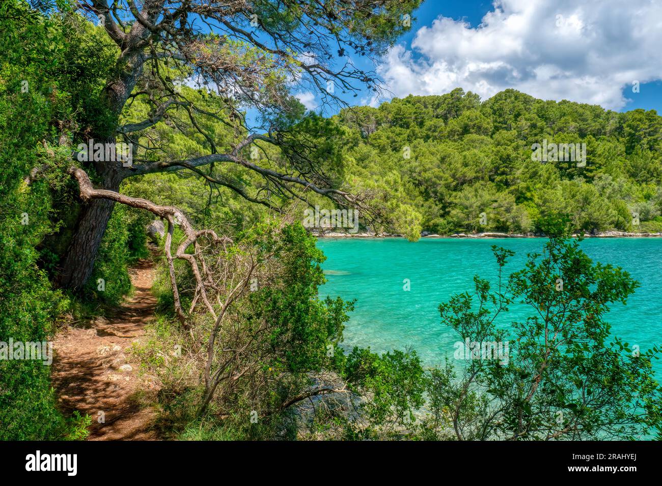 Curated visual reference: Visual Reference: A Scenic Recreational Walking Path Along The Wooded Shoreline Of