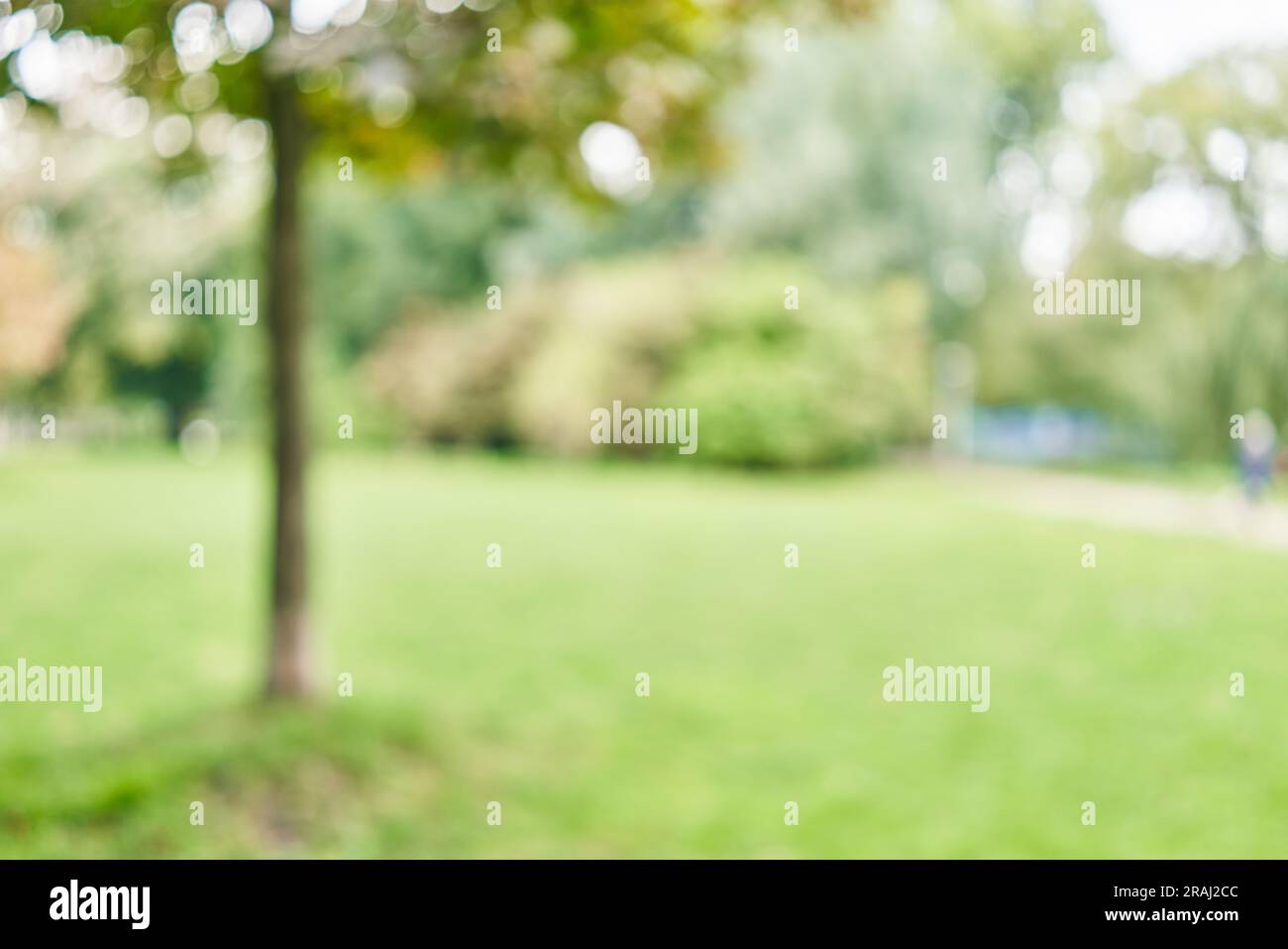 Blurred background of park Stock Photo - Alamy