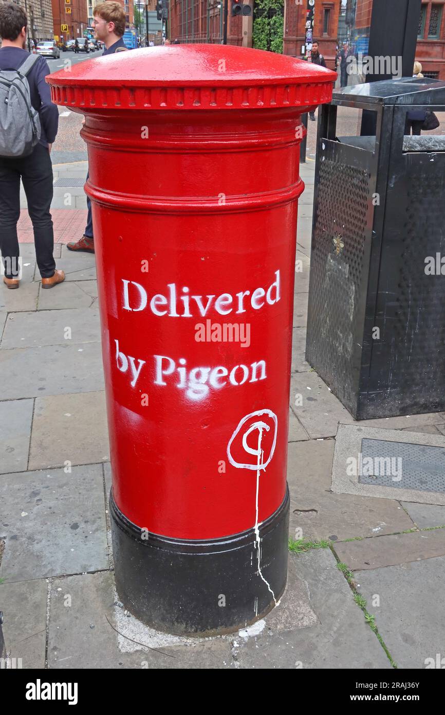 Pigeon post - is Royal Mail now delivered by pigeon ? Red pillar box Stock Photo