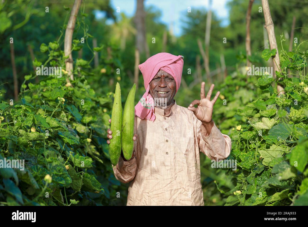 Indian farming, farmer holding bottle gourd, vegetable fresh , happy farmer Stock Photo