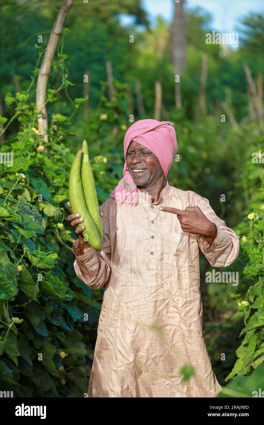 Indian farming, farmer holding bottle gourd, vegetable fresh , happy farmer Stock Photo