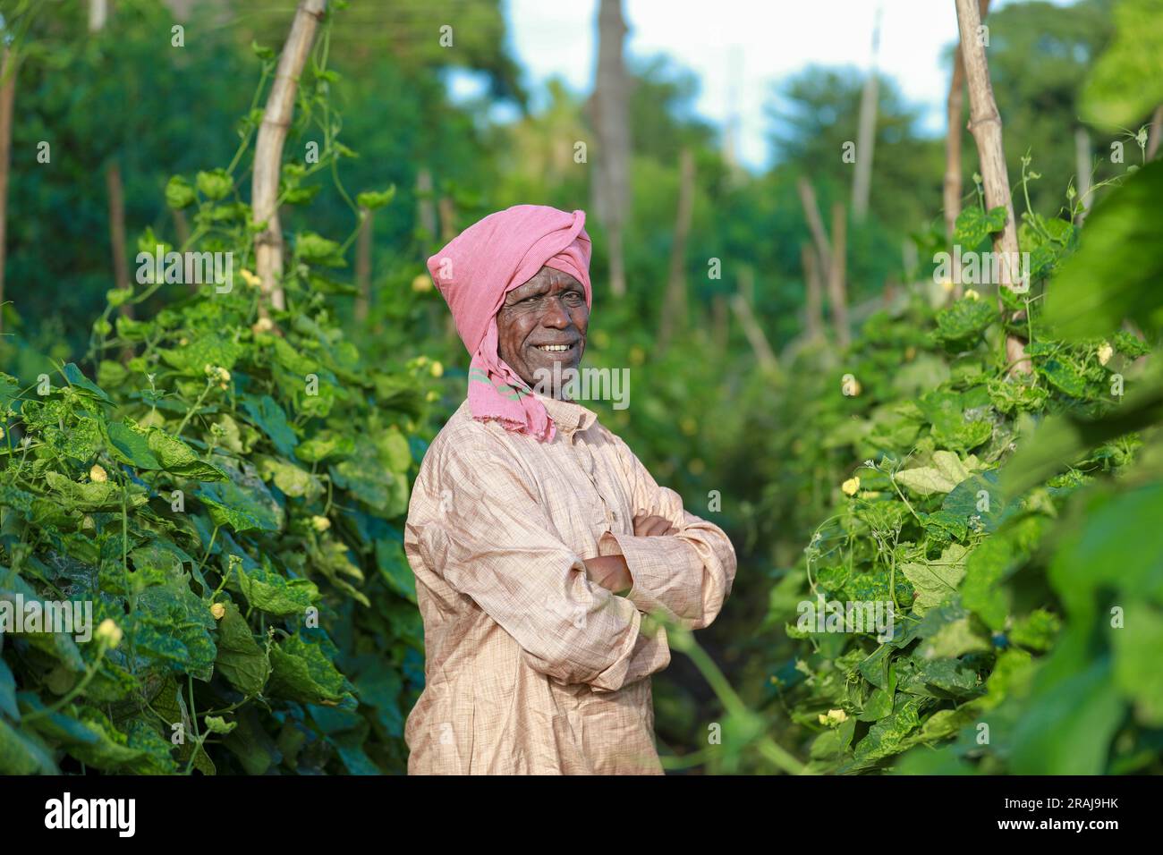 Indian farming Happy indian farmer standing in farm, sowing Empty Hands Stock Photo