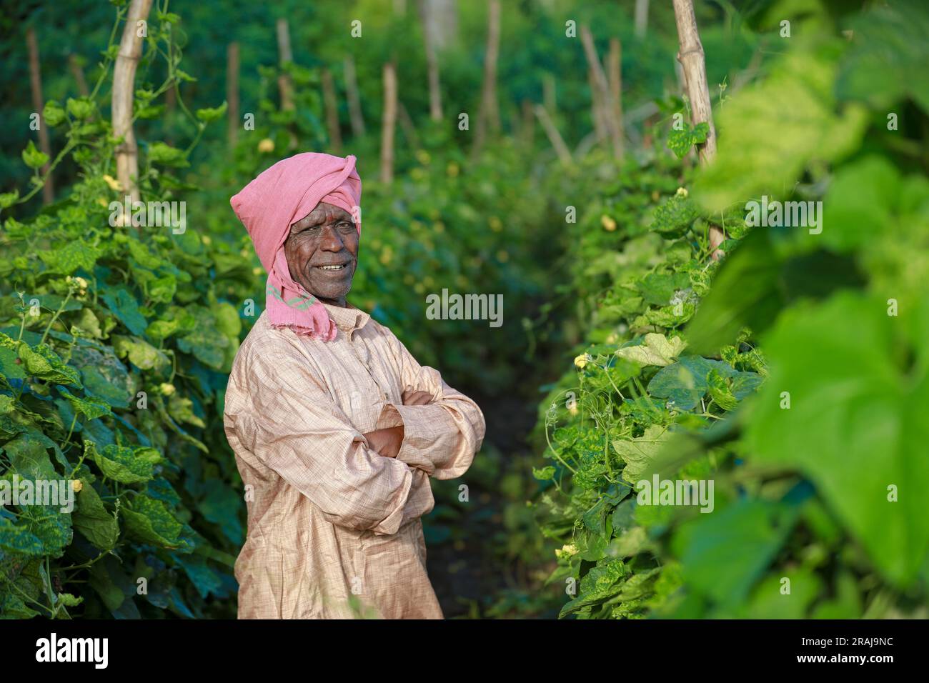 Indian farming, farmer holding bottle gourd, vegetable fresh , happy farmer Stock Photo