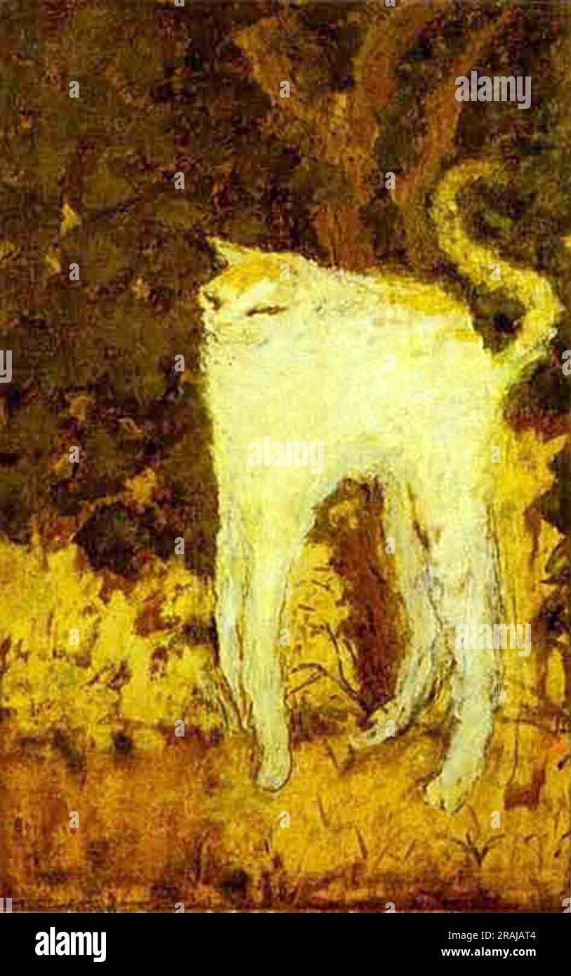 The White Cat 1894 by Pierre Bonnard Stock Photo Alamy