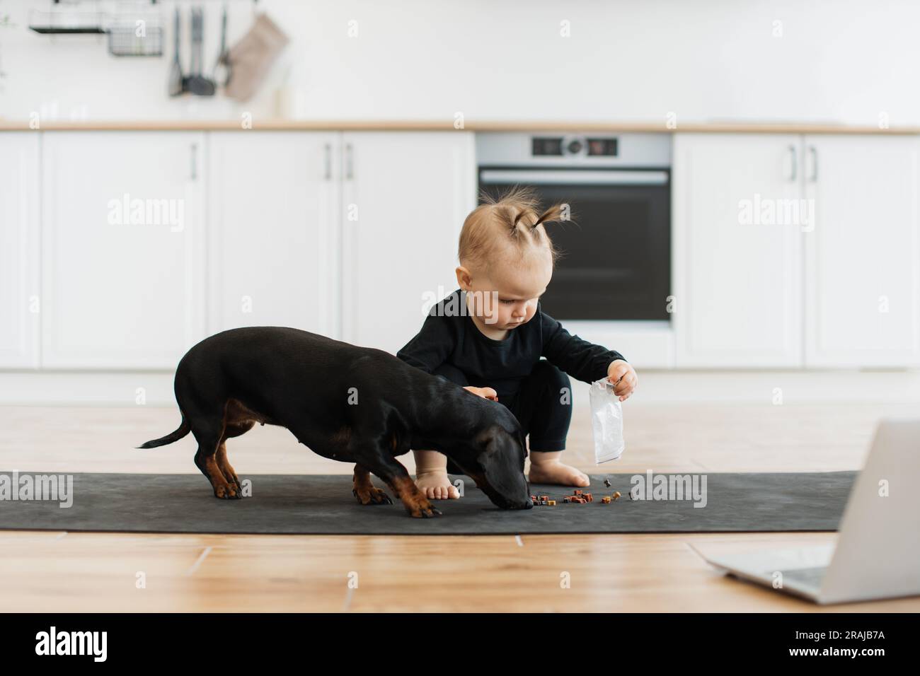 Focused infant girl in cozy black clothes squatting near purebred