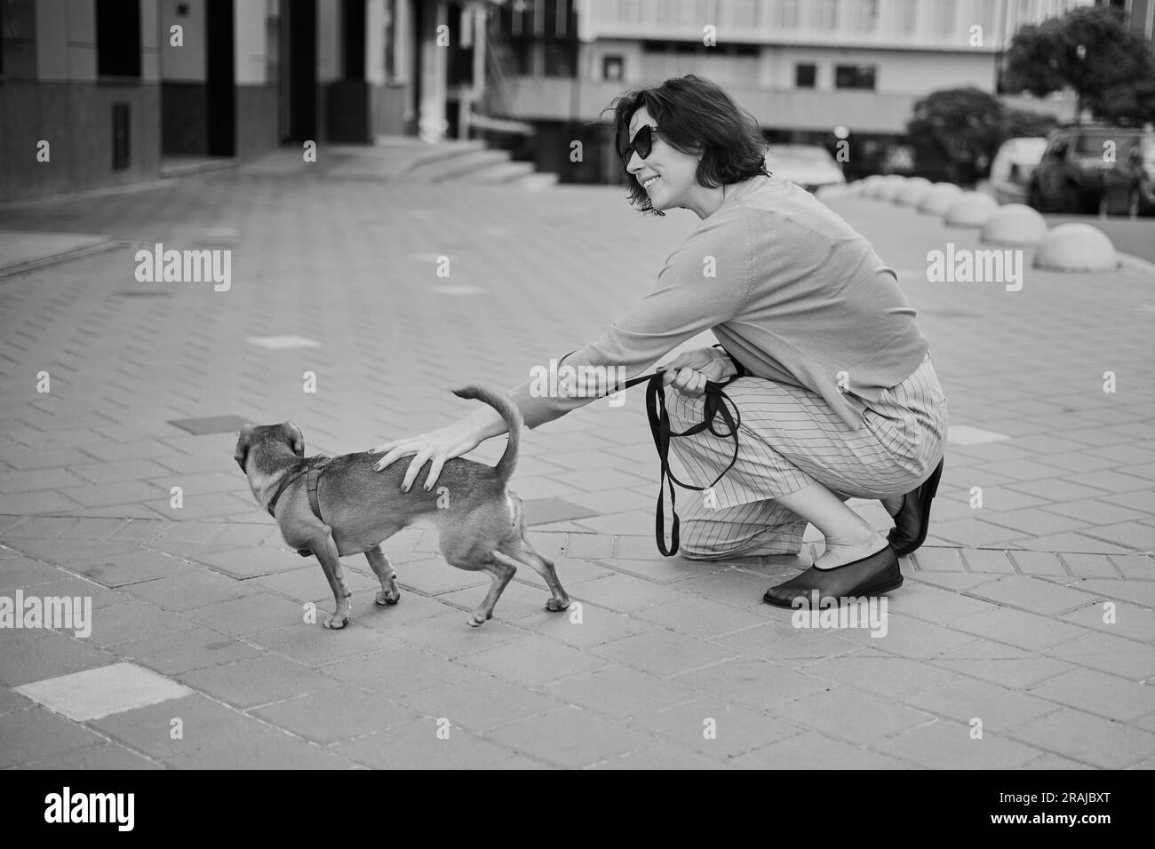 Young pretty female adult with small ginger dog in the bi city walking having fun. City view High quality photo Stock Photo
