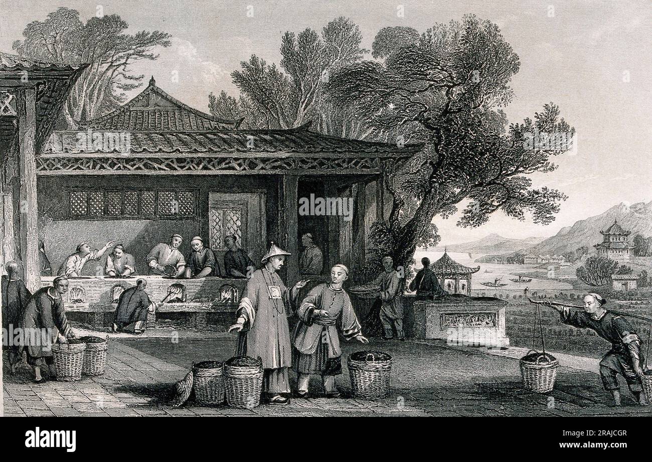 A Chinese Tea Plantation with Workers Carrying and Roasting the Tea, 1810, China, Historic, Digitally restored reproduction from a 19th century original.  /  Eine chinesische Teeplantage mit Arbeitern, die den Tee tragen und rösten, 1810, China, Historisch, digital restaurierte Reproduktion von einer Vorlage aus dem 19. Jahrhundert Stock Photo