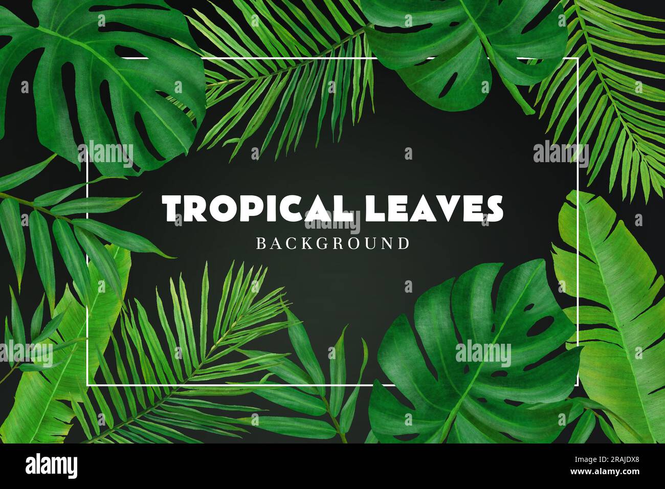 Tropical leaves exotic background frame vector Stock Vector