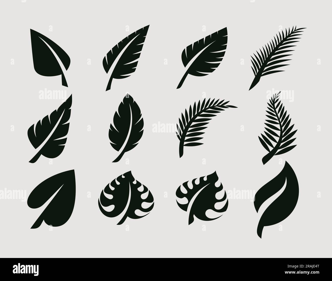 Silhouette of organic leaf design template. Natural eco leaf and palm ...