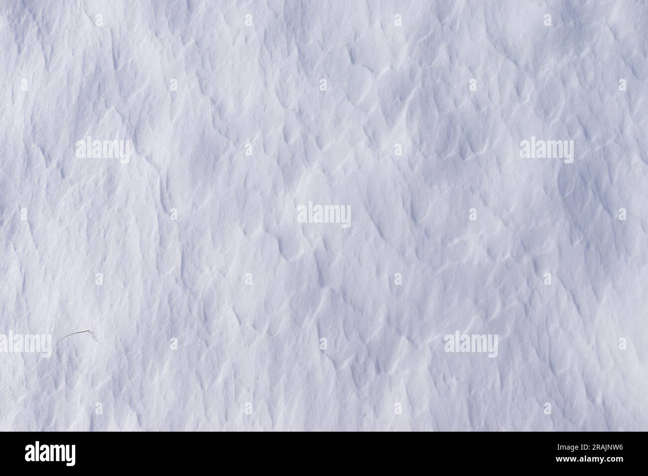 Patterns on the snow. Background. Texture. Stock Photo