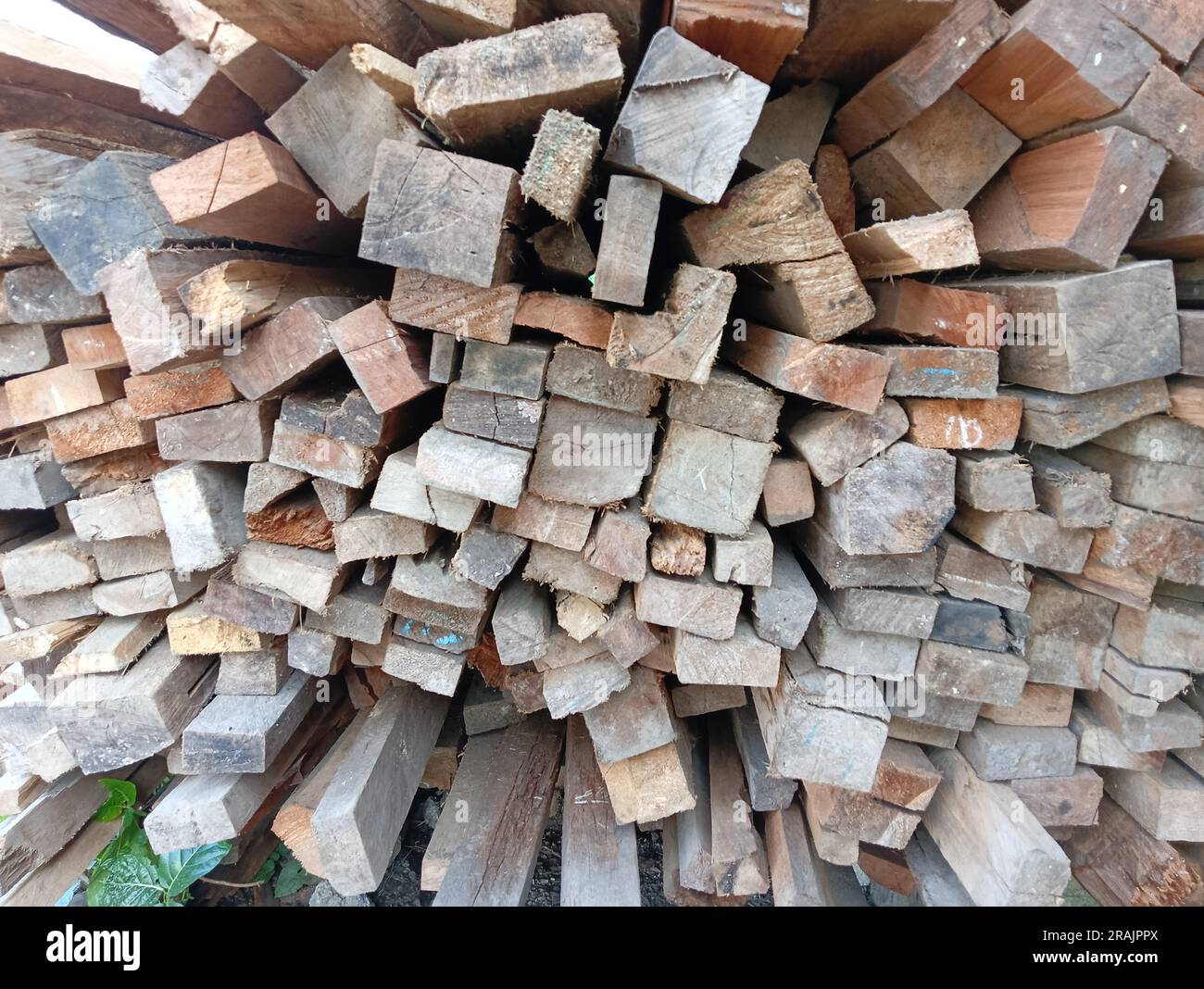 stacked wooden planks in the woodworking industry. pile with pine wood. folding edged board. lumber shop. wood for construction Stock Photo