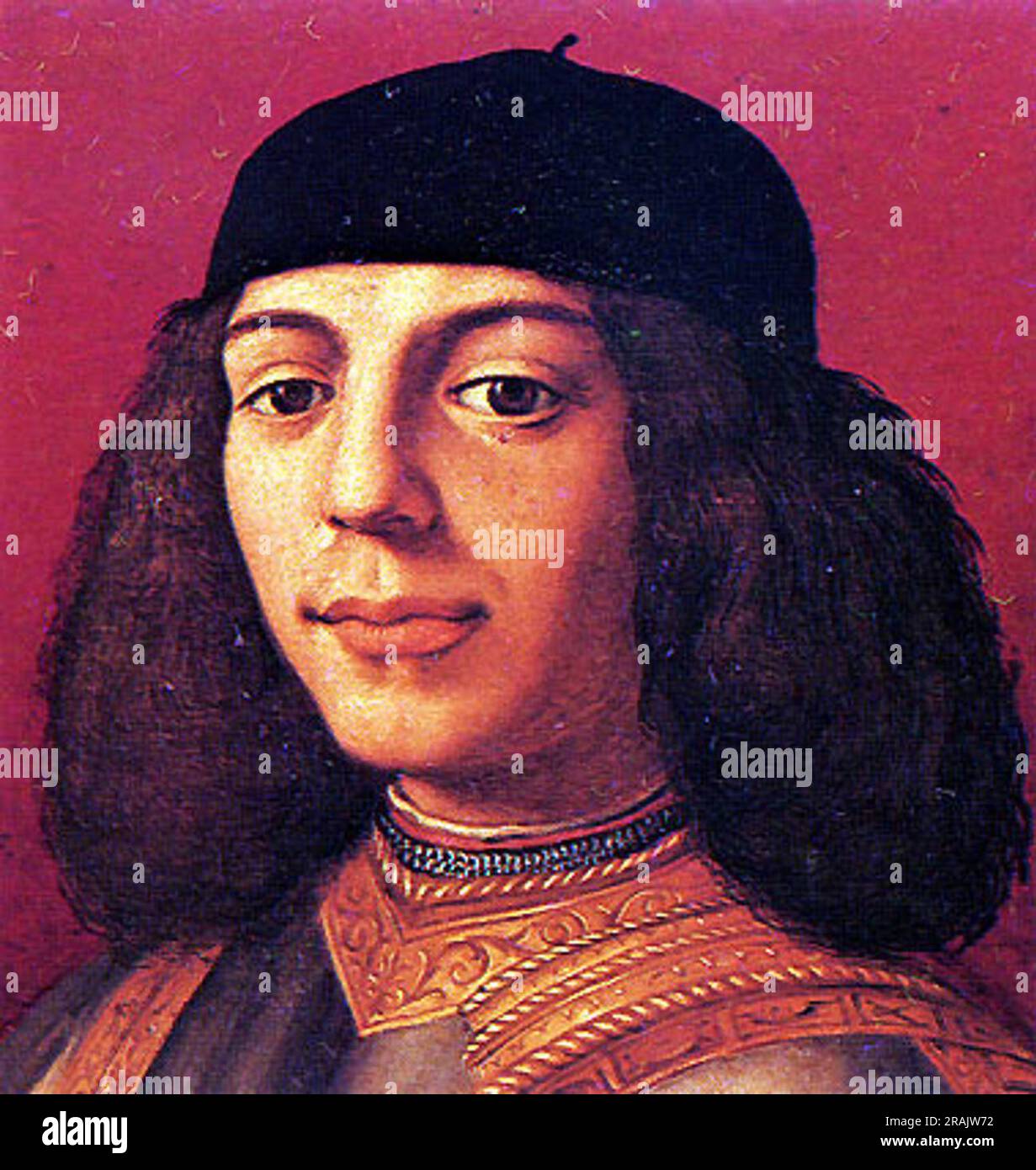 Portrait of Piero di Lorenzo de Medici by Agnolo Bronzino Stock Photo ...