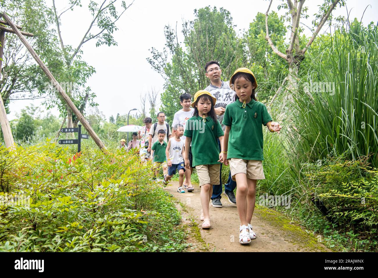 (230704) -- CHONGQING, July 4, 2023 (Xinhua) -- Parents and children visit Guangyang Isle for an ecological education tour in southwest China's Chongqing, July 3, 2023. Located at the most extensive green island in the upper reaches of the Yangtze River, Guangyang Isle, covering around 10 square km, has a vegetation coverage rate of over 90 percent, and 594 species of plants and 452 species of animals have been recorded. But its ecological system and biodiversity were severely damaged due to a number of aggressive real estate projects that had lasted for years. In 2017, the commercial activit Stock Photo