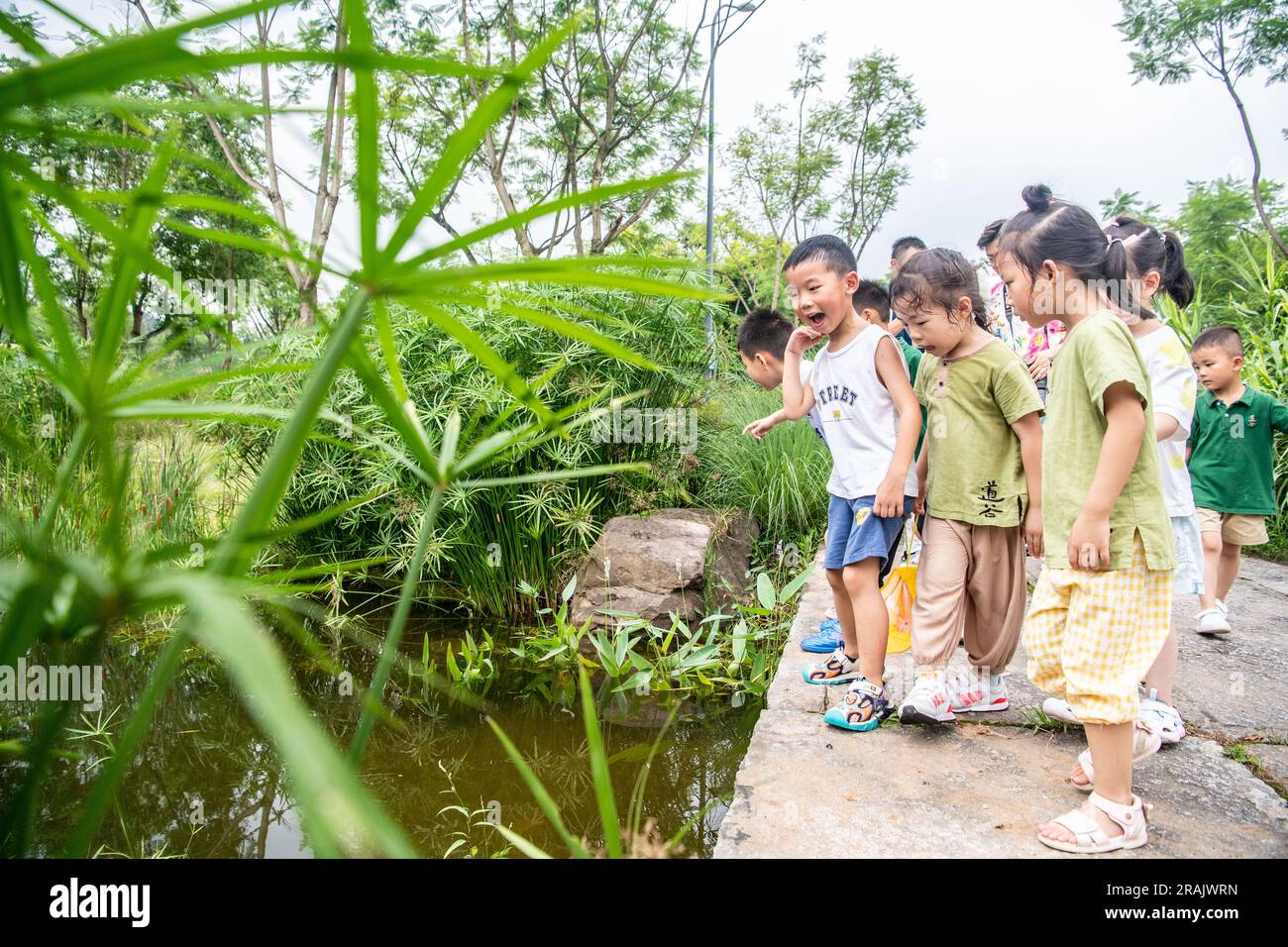(230704) -- CHONGQING, July 4, 2023 (Xinhua) -- Children learn to identify aquatic organisms during an ecological education tour on Guangyang Isle in southwest China's Chongqing, July 3, 2023. Located at the most extensive green island in the upper reaches of the Yangtze River, Guangyang Isle, covering around 10 square km, has a vegetation coverage rate of over 90 percent, and 594 species of plants and 452 species of animals have been recorded. But its ecological system and biodiversity were severely damaged due to a number of aggressive real estate projects that had lasted for years. In 2017 Stock Photo