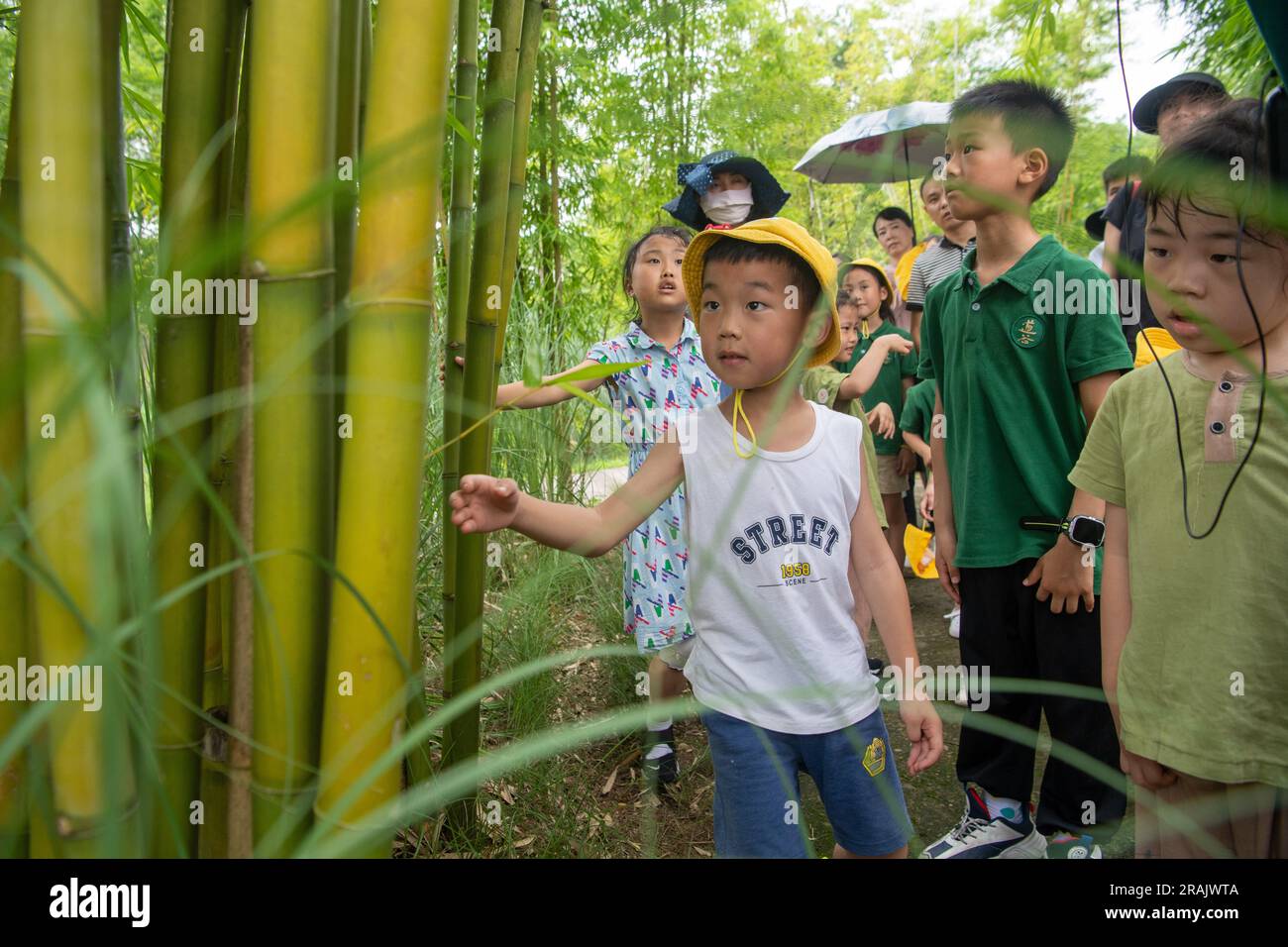 (230704) -- CHONGQING, July 4, 2023 (Xinhua) -- Children learn to identify plants during an ecological education tour on Guangyang Isle in southwest China's Chongqing, July 3, 2023. Located at the most extensive green island in the upper reaches of the Yangtze River, Guangyang Isle, covering around 10 square km, has a vegetation coverage rate of over 90 percent, and 594 species of plants and 452 species of animals have been recorded. But its ecological system and biodiversity were severely damaged due to a number of aggressive real estate projects that had lasted for years. In 2017, the comme Stock Photo