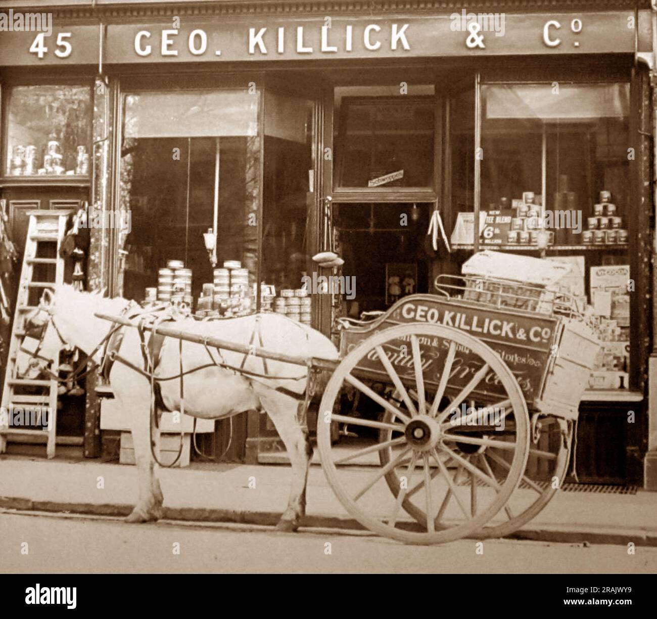 Grocer's shop, early 1900s Stock Photo