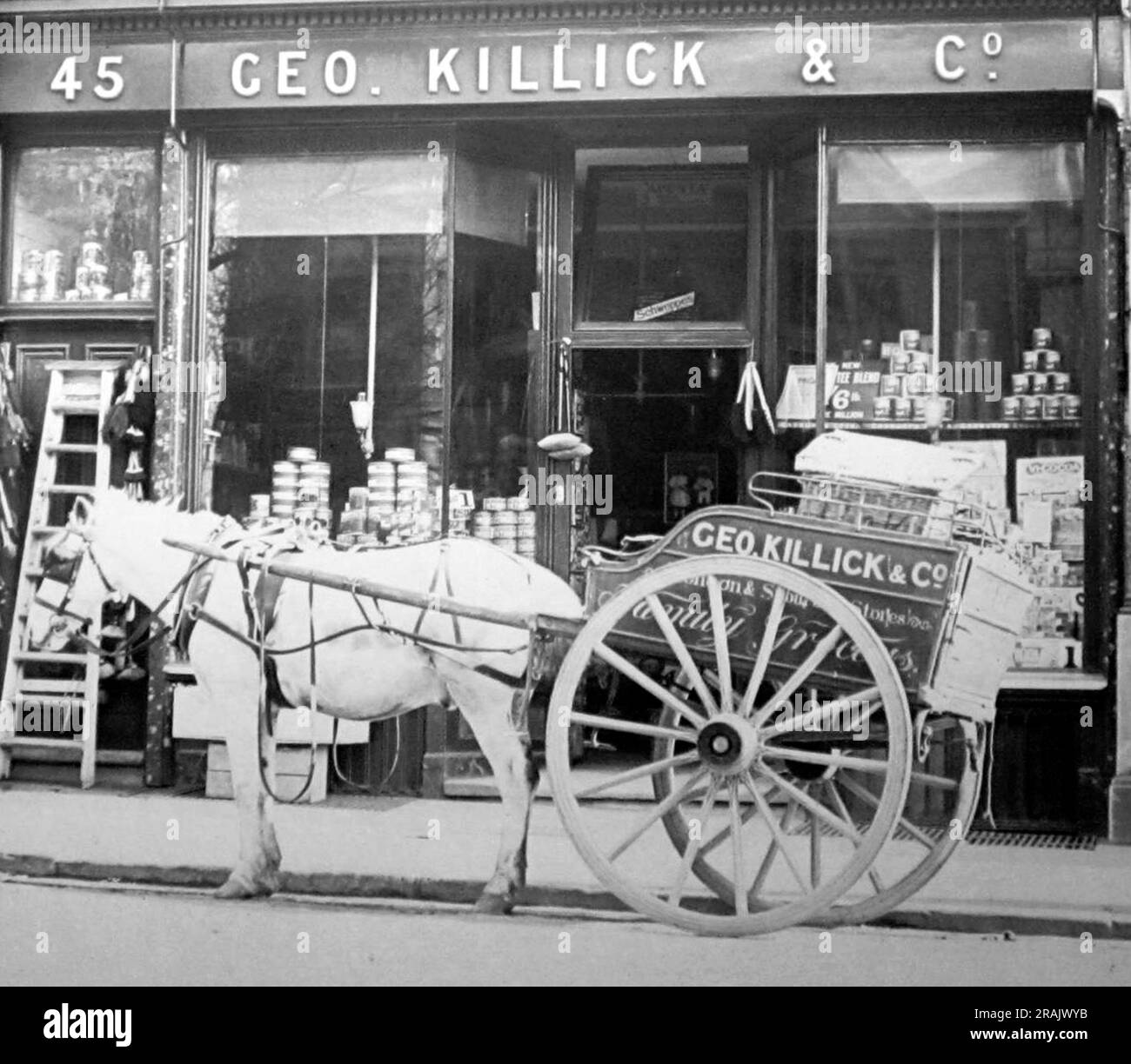 Grocer's shop, early 1900s Stock Photo