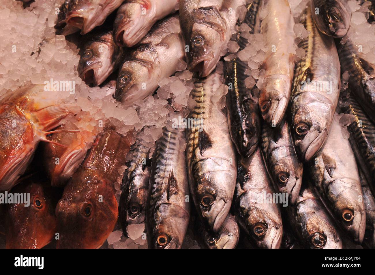 04 July 2023/Fish shops and se ood in toevehallerne Copenhaen in danish