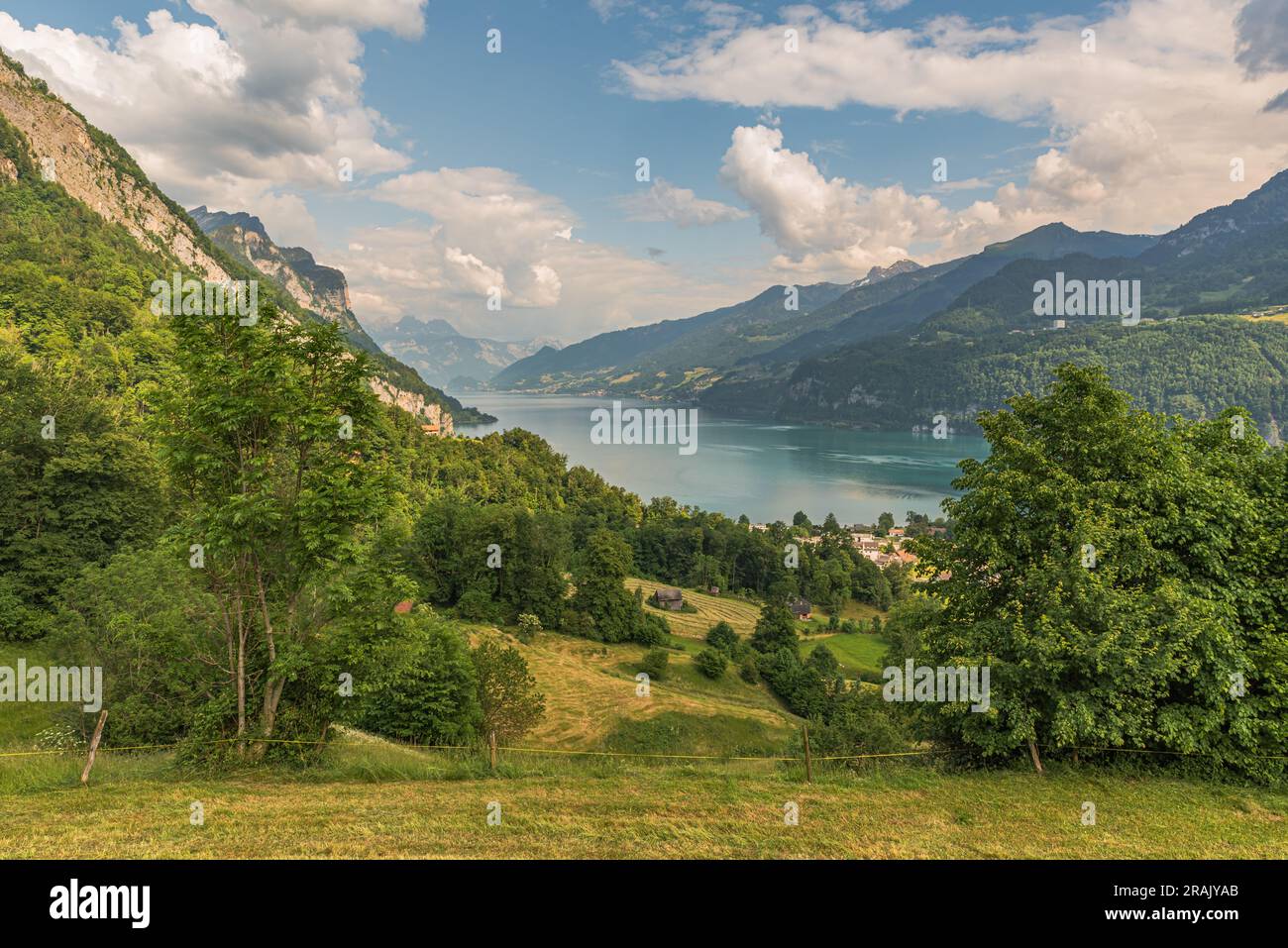 Walensee Spring Lake walensee hi-res stock photography and images - Alamy
