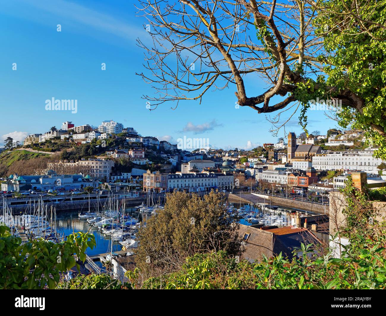 UK, Devon, Torquay Harbour from Parkhill Road Stock Photo Alamy