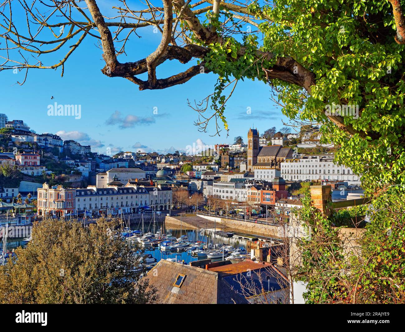 UK, Devon, Torquay Harbour from Parkhill Road Stock Photo Alamy