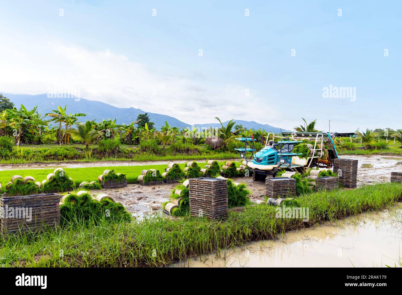 the latest advancements in rice planting machines and agricultural ...