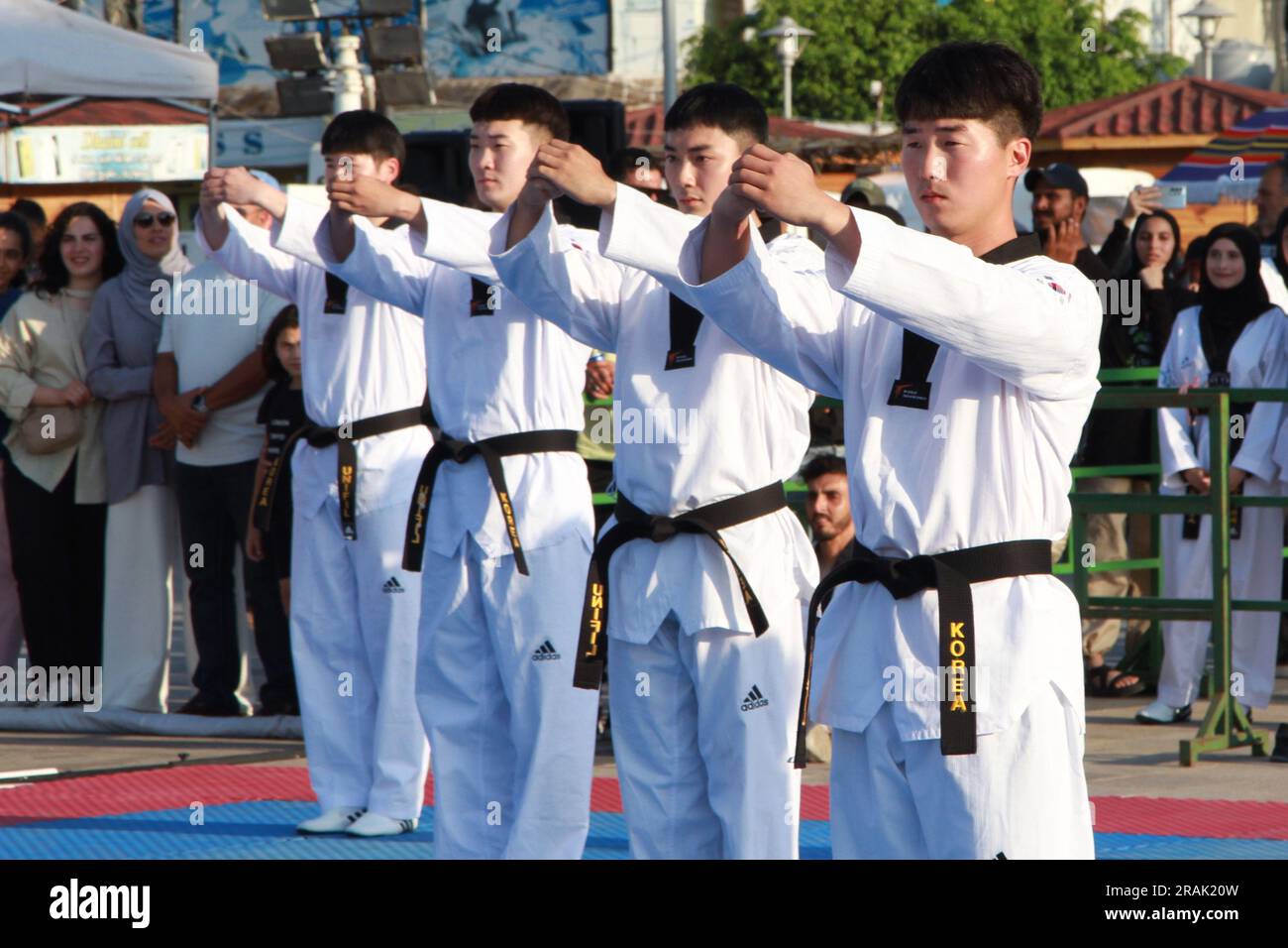 UNIFIL self defence and cultural event at Southern Lebanon, Tyr Stock