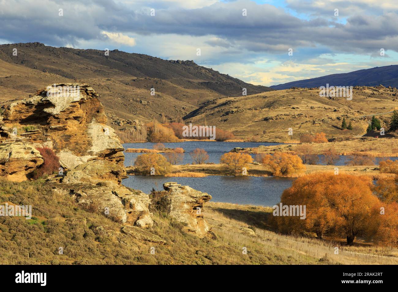 Autumn color at a lake on Butchers Creek in the Flat Top Conservation Area, Central Otago region, New Zealand Stock Photo