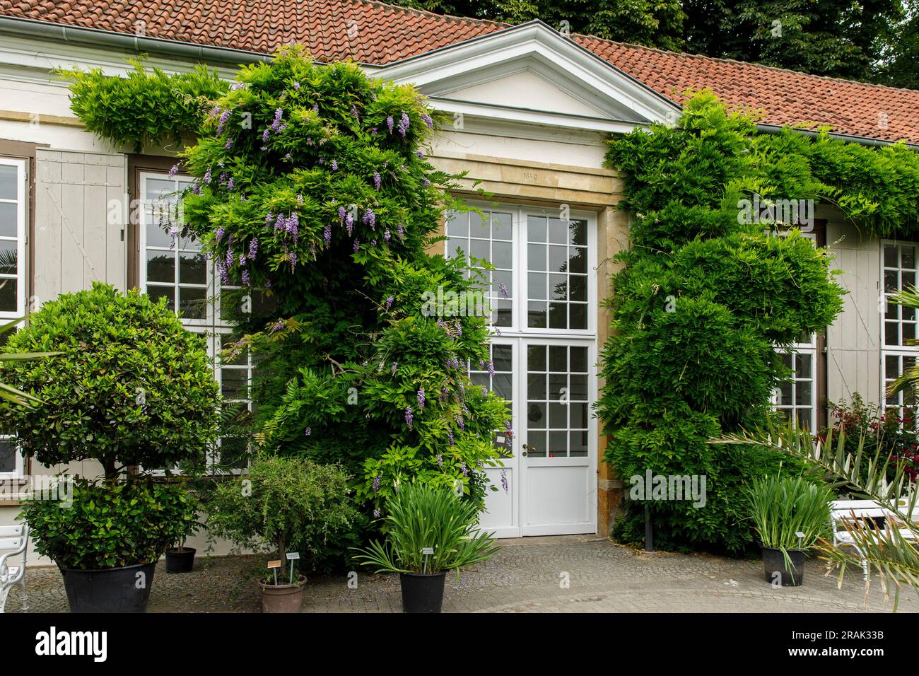 orangery at the Botanical Garden of the University of Muenster