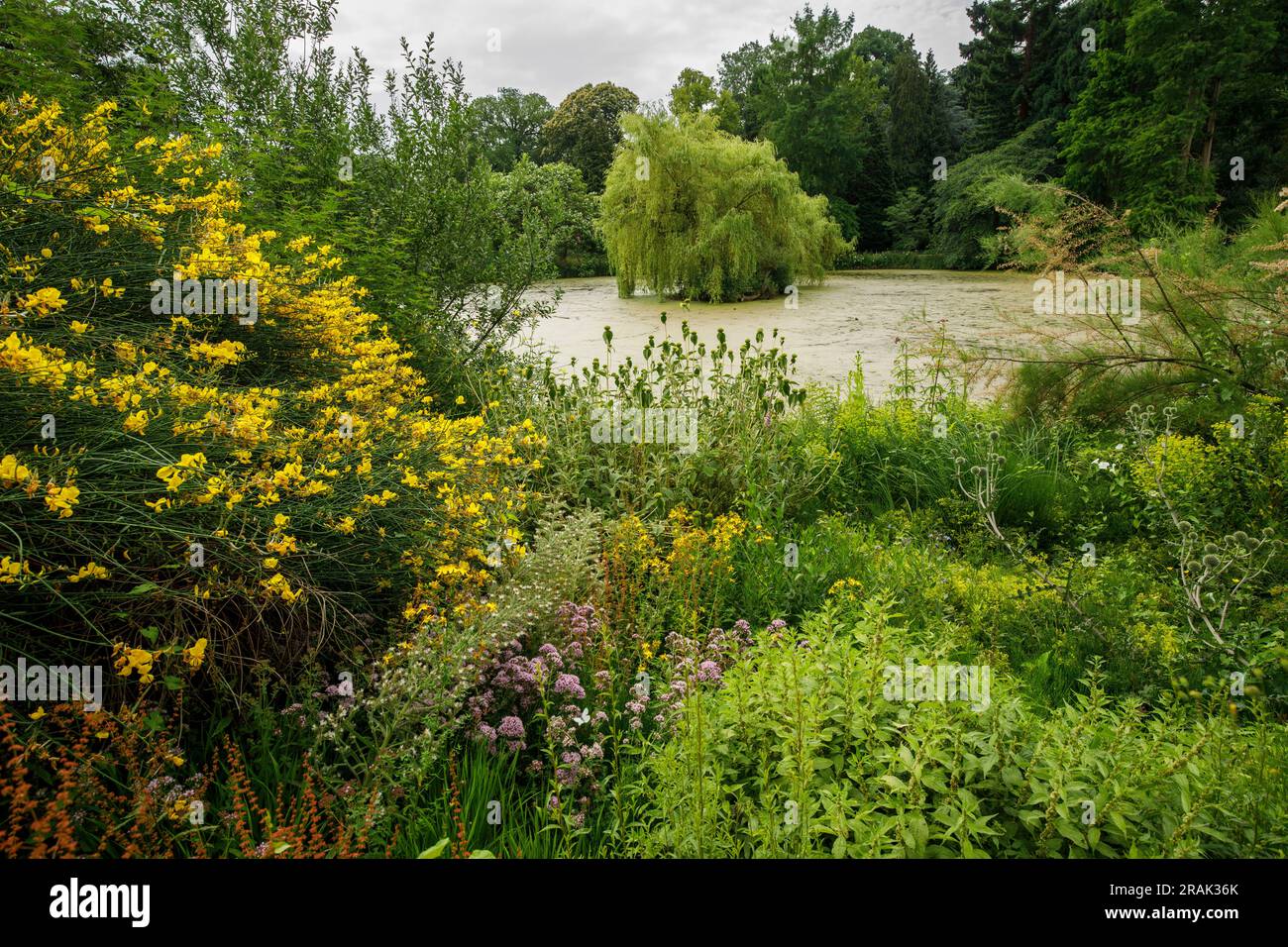 46+ Botanischer Garten Der Westfälischen Wilhelms-Universität
