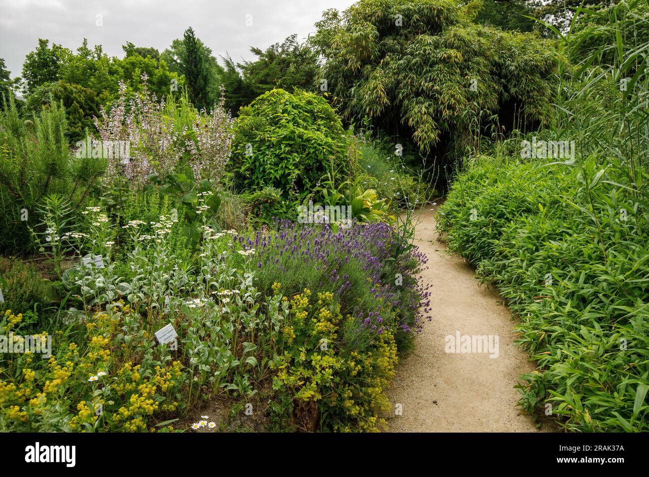 Botanical Garden of the University of Muenster, Muenster, North Rhine