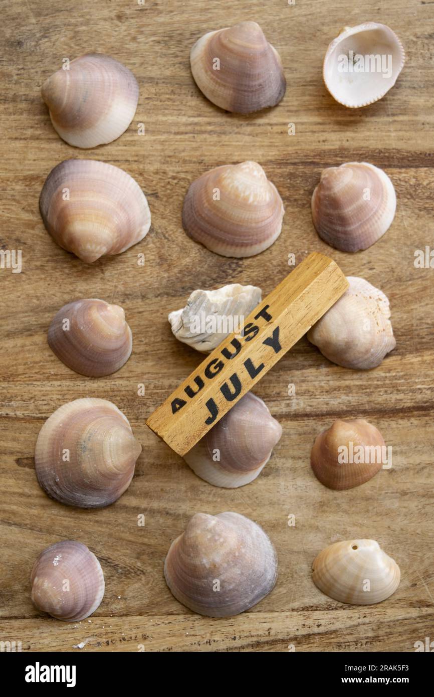 summer concept with some seashells and the written august and july Stock Photo