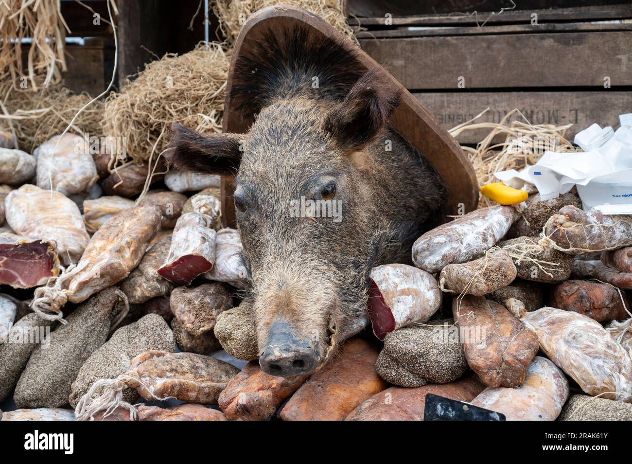 Wild Boar Meat For Sale Uk Factory Outlet Www oceanproperty co th wild-boar-meat-benefits-your-expert-healthy-nutrition-guide