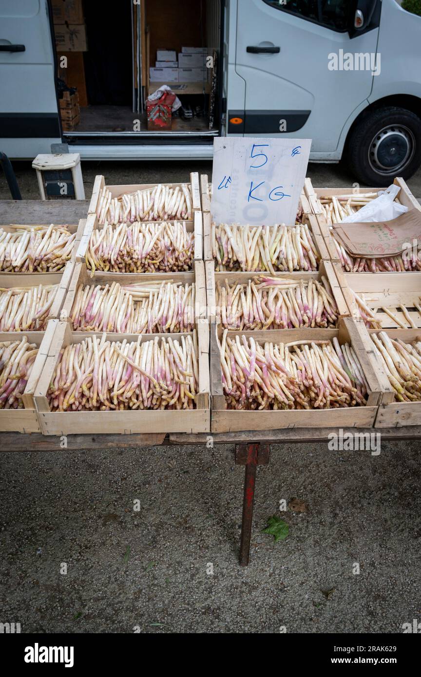 An asparagus stall on a market in Chinon Loire Valley, France with asparagus in boxes for   for sale. Stock Photo