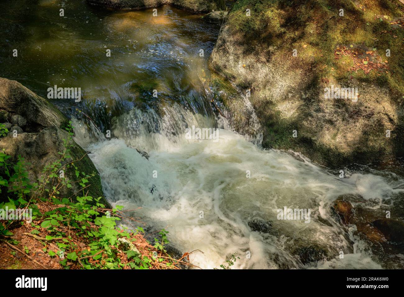 the nature park rauscherpark in germany Stock Photo - Alamy