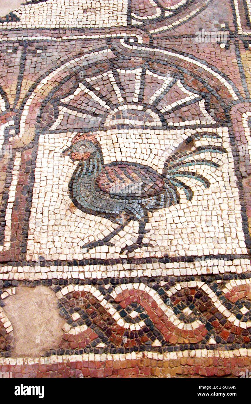 Petra Church Floor Mosaic 550 by Byzantine Mosaics Stock Photo