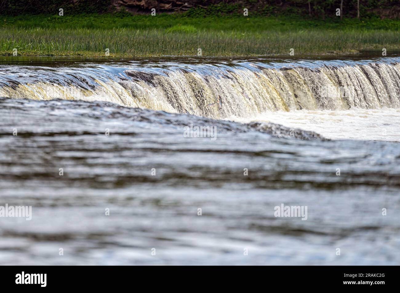 Water splashing through widest rockwaterfall in Europe - Ventas rumba. Kuldiga, Latvia Stock Photo