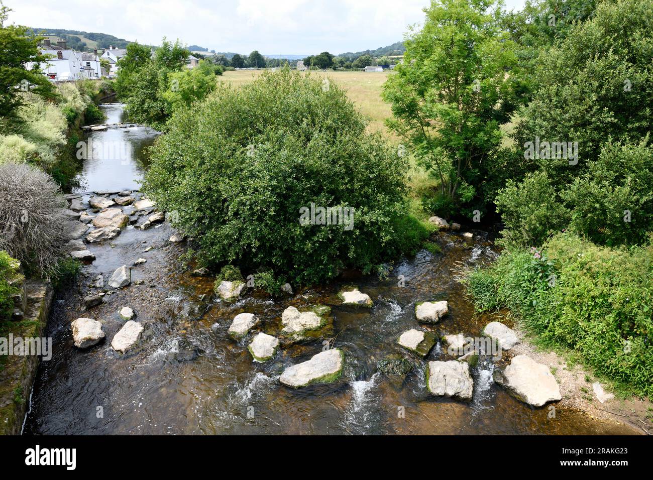 Coly River running through Colyton Town in the Coly Valley East Devon England uk Stock Photo Alamy