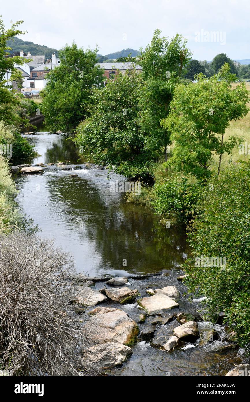 Coly River running through Colyton Town in the Coly Valley East Devon England uk Stock Photo Alamy