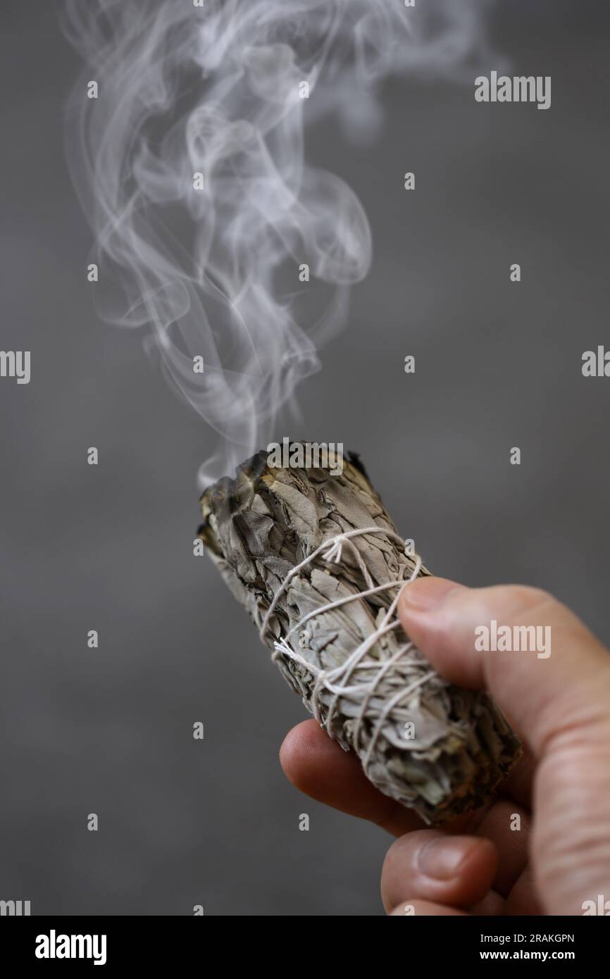 white sage smudge stick for meditation, healing, and spiritual room cleansing Stock Photo