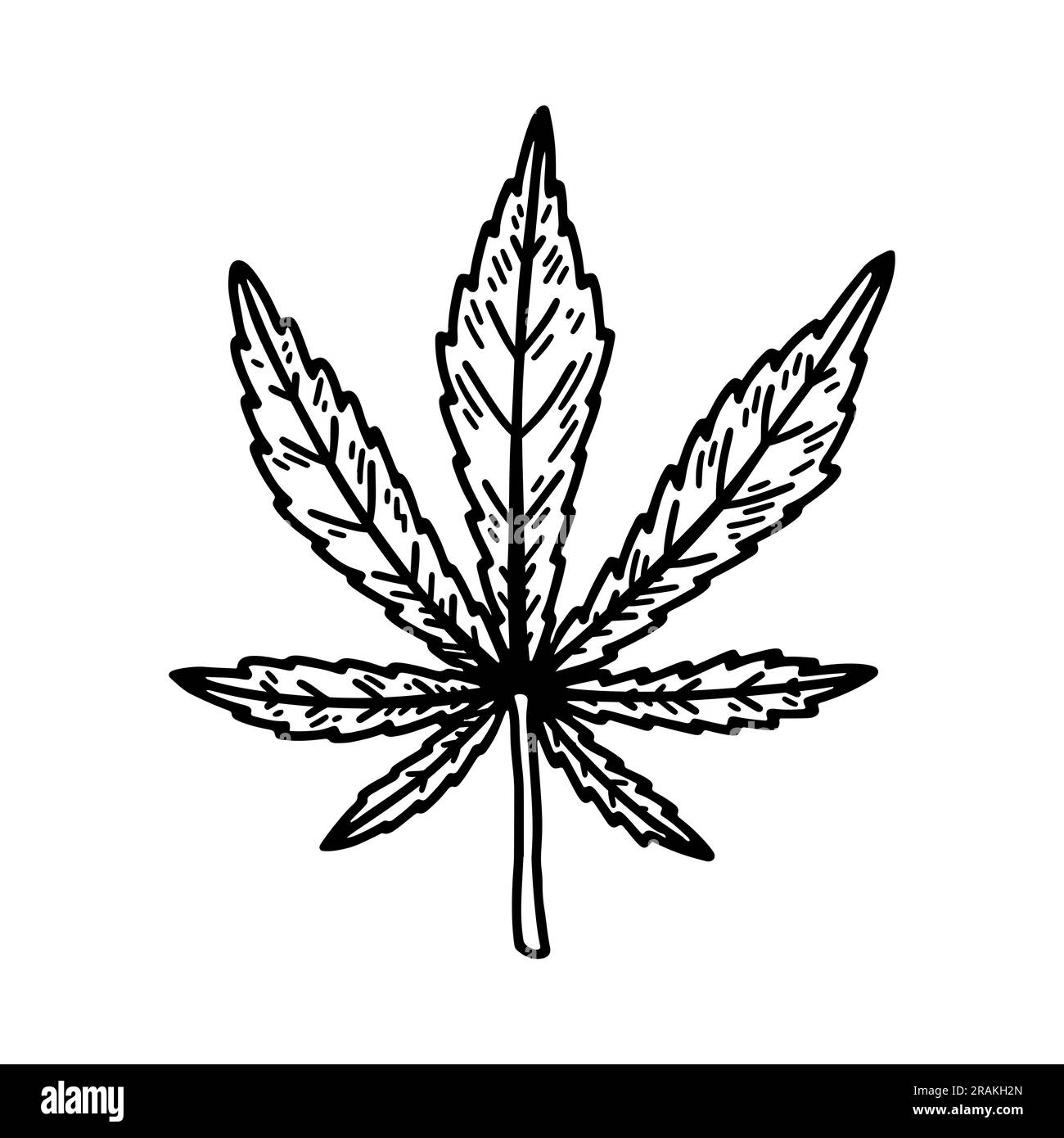 Cannabis leaf sketch. Marijuana botanical drawing. Hand drawn vector illustration Stock Vector