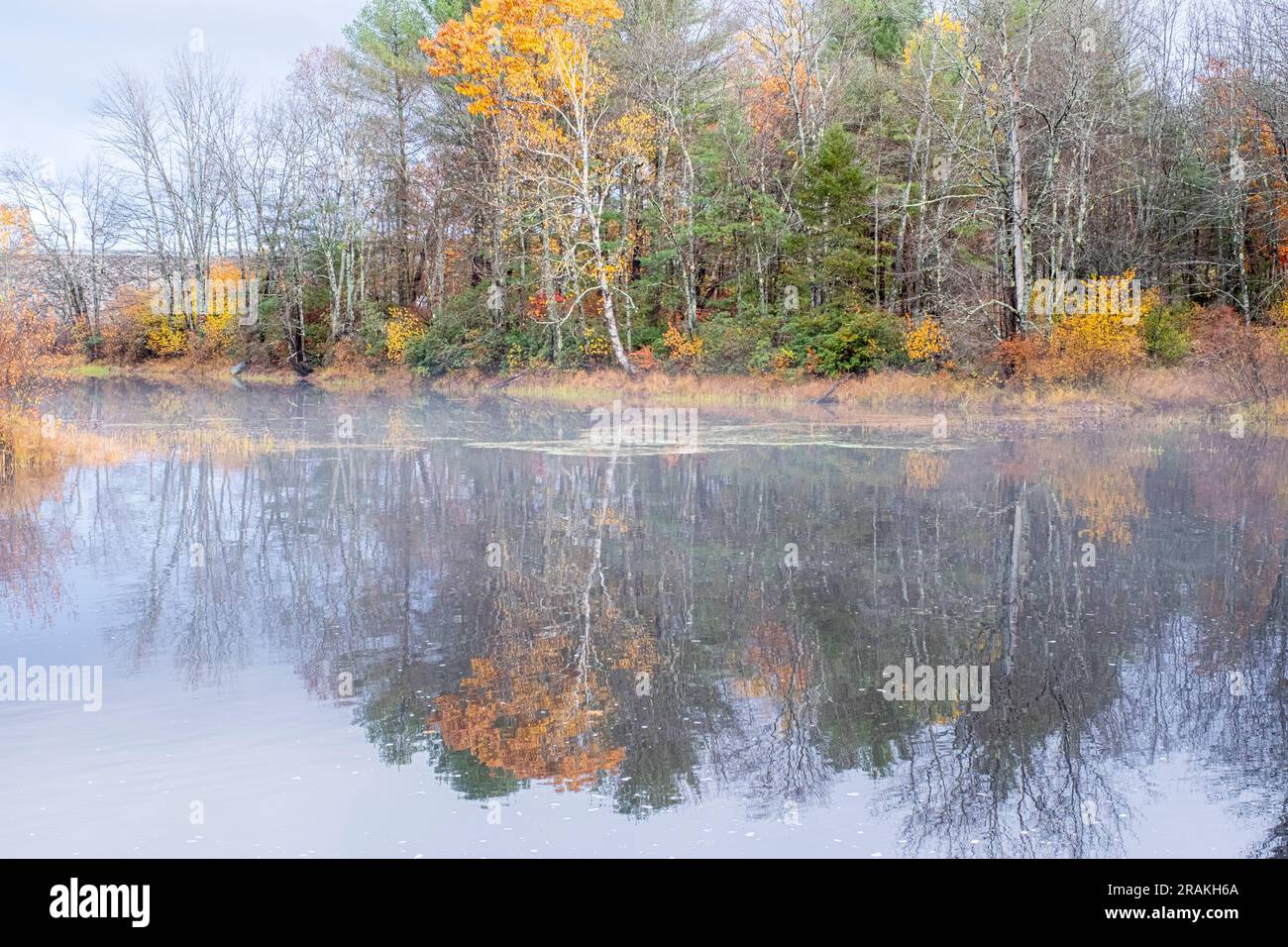 Fog over the Millers River in the Birch Hill Reservation in Royalston, MA Stock Photo