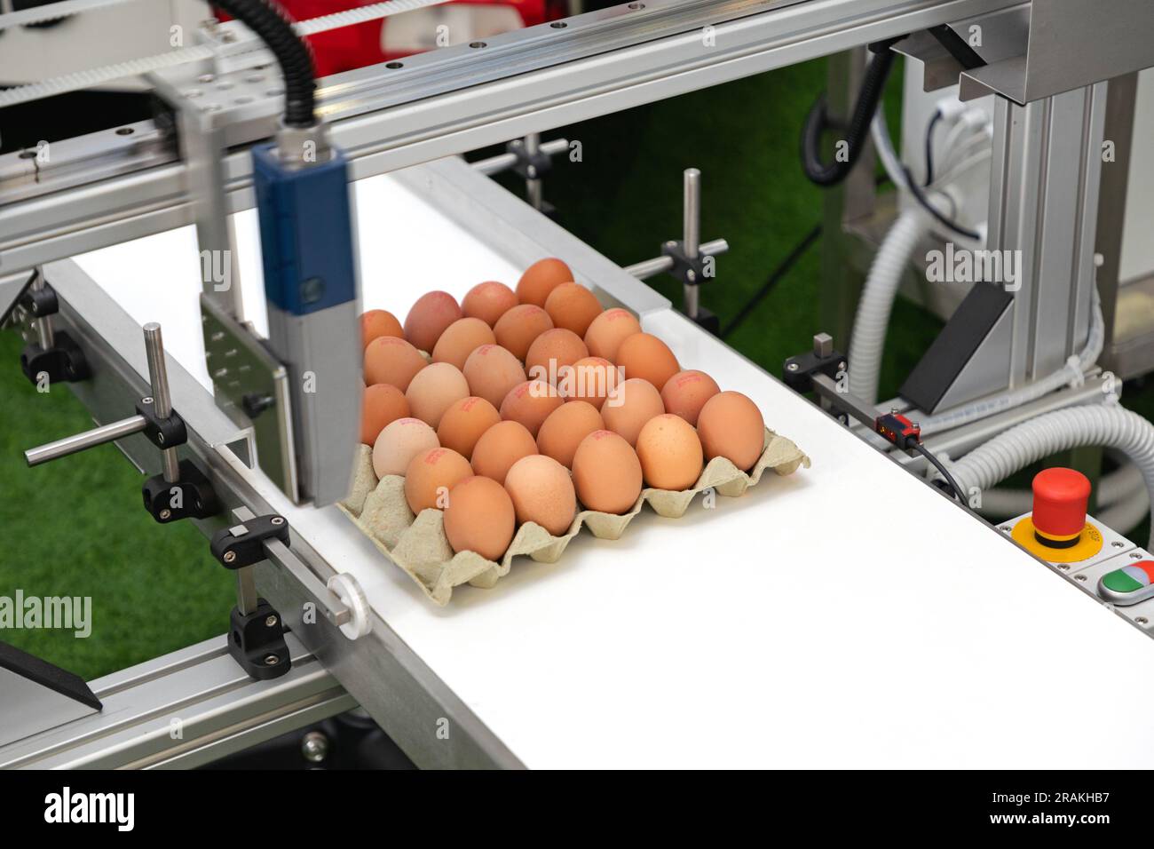 Best By Date on Eggs in Carton Printer at Conveyor Belt Stock Photo Alamy