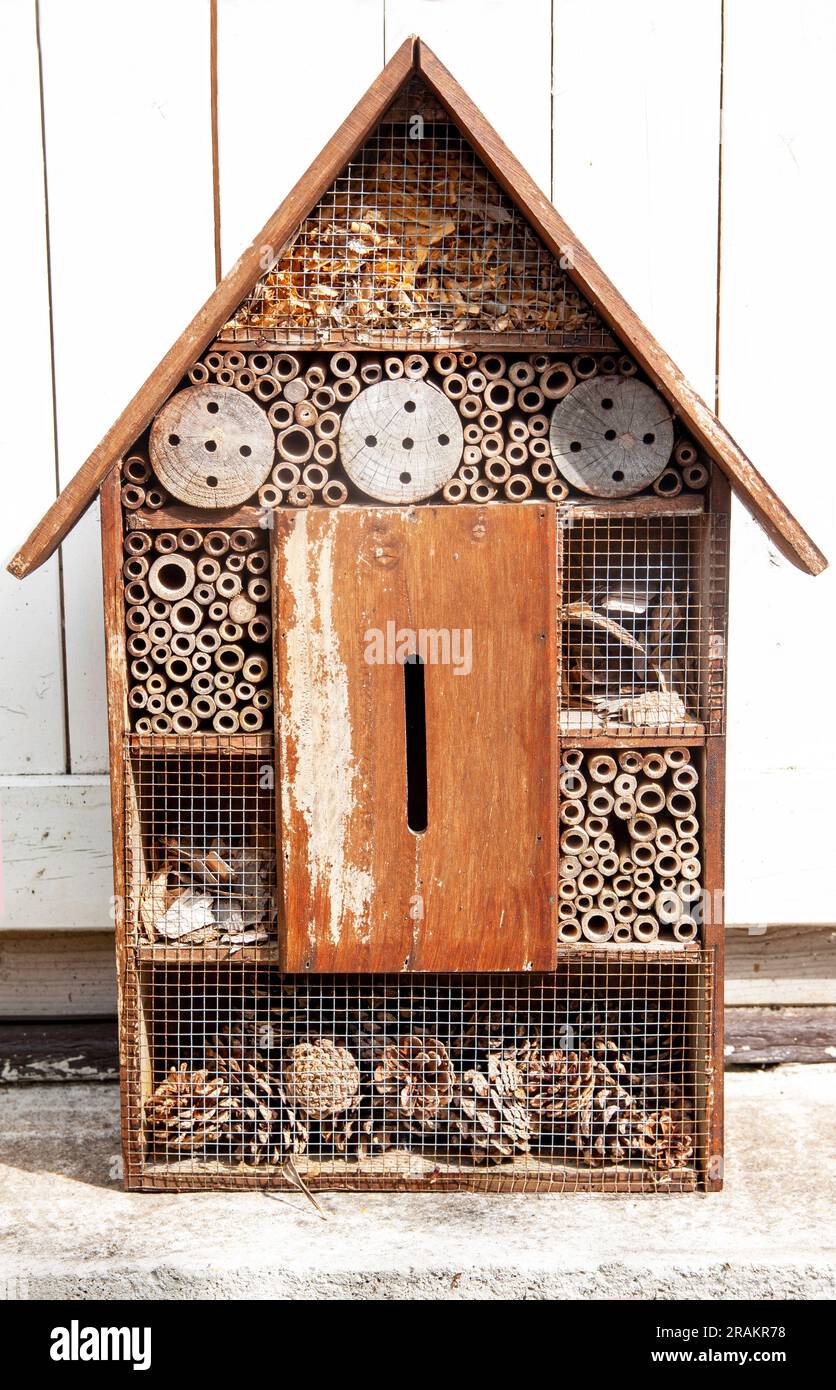 House Up Insect Wooden house insects bees hi-res stock photography and images - Alamy