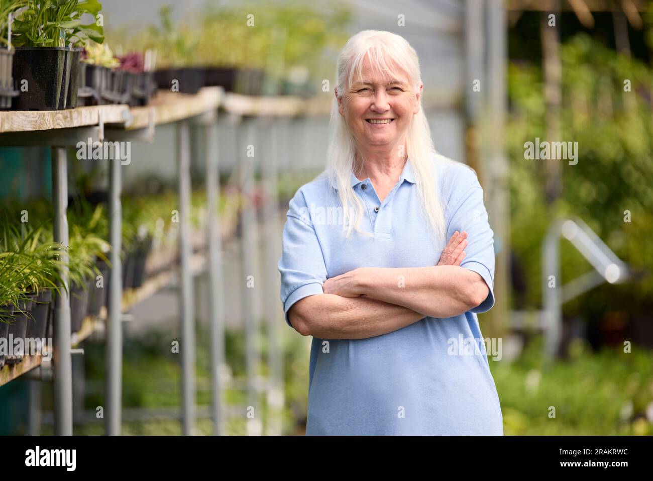 Portrait Of Retired Senior Woman Working Part Time Job In Garden Centre Checking Plants In Greenhouse Or Polytunnel Stock Photo